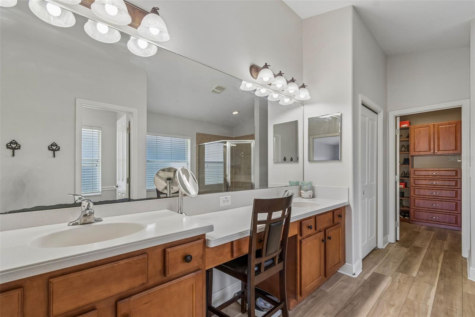 2336 NESSLEWOOD DR, WESLEY CHAPEL, FL, 33543