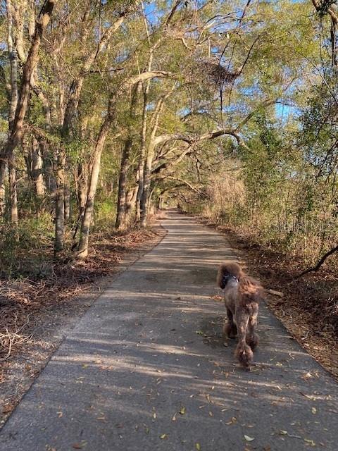 1680 SW 188TH ST, NEWBERRY, FL, 32669