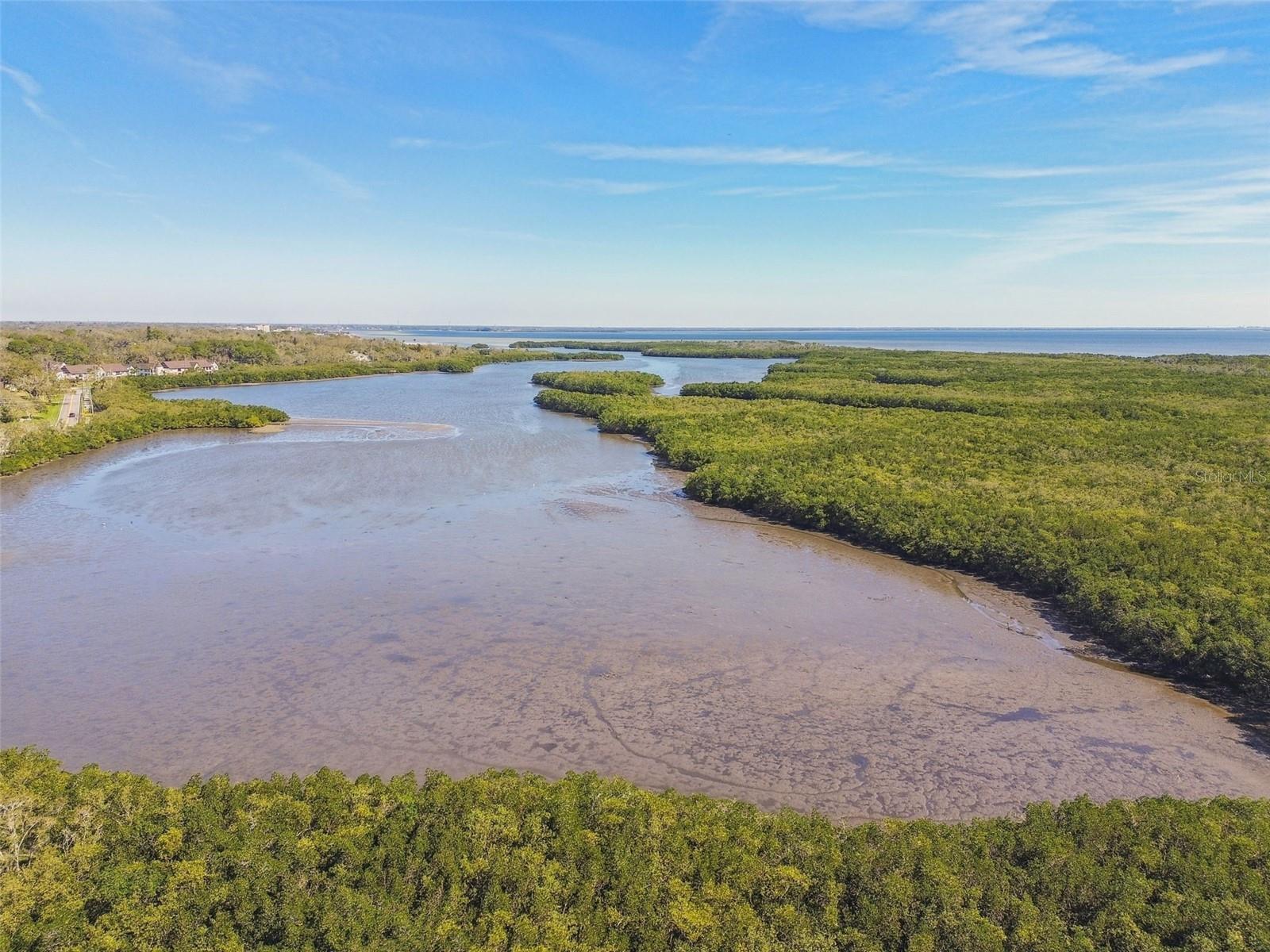 3112 OYSTER BAYOU WAY, CLEARWATER, FL, 33759