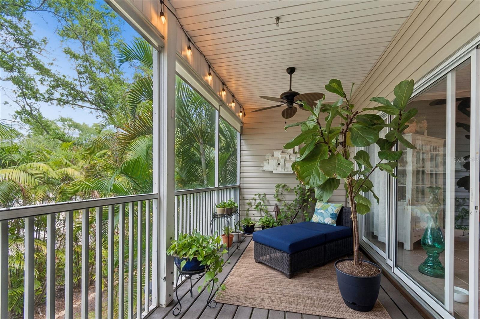 3112 OYSTER BAYOU WAY, CLEARWATER, FL, 33759