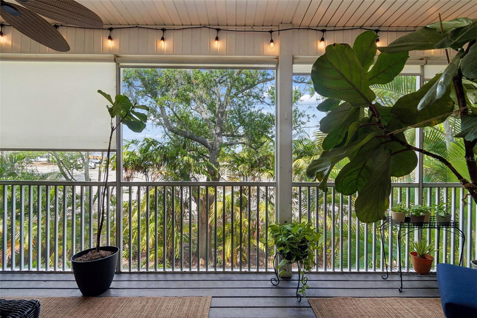 3112 OYSTER BAYOU WAY, CLEARWATER, FL, 33759