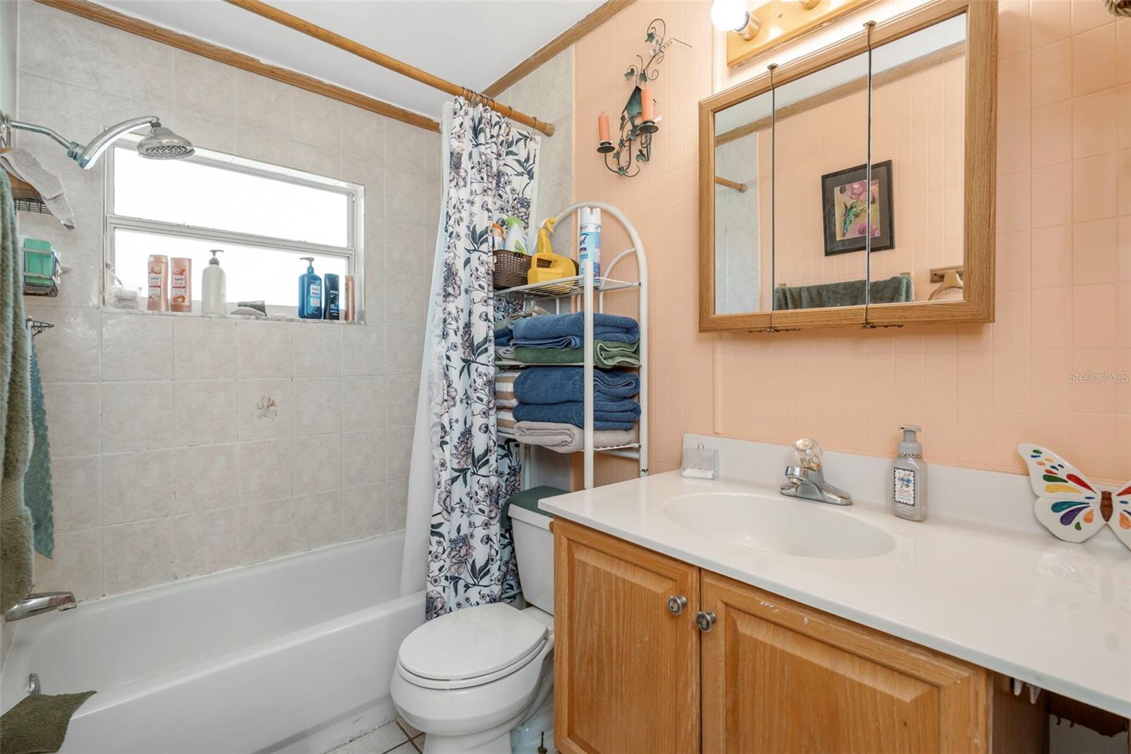 10006 N 17TH ST, TAMPA, FL, 33612