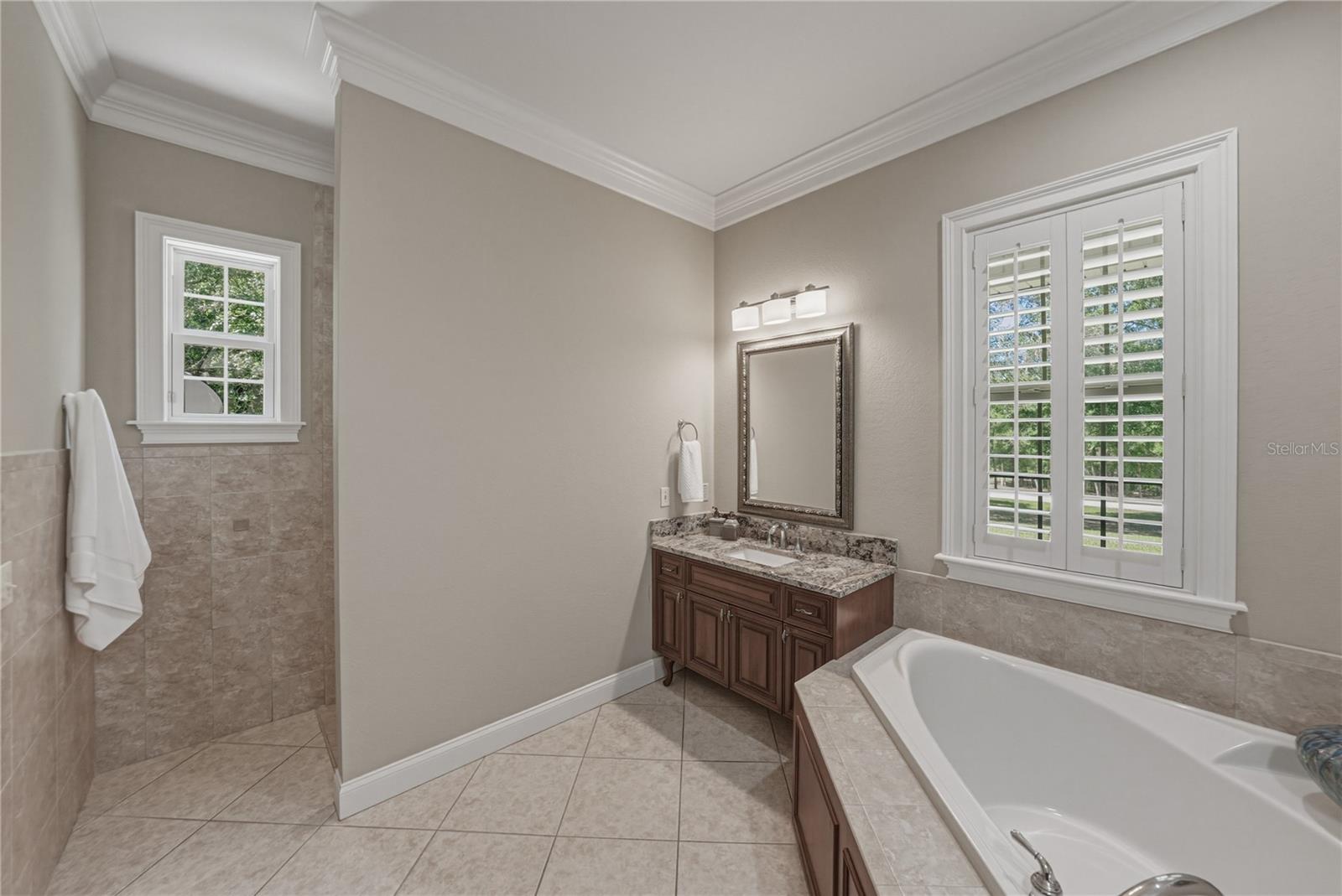 810 SAVANNAH OAKS DR, BROOKSVILLE, FL, 34602