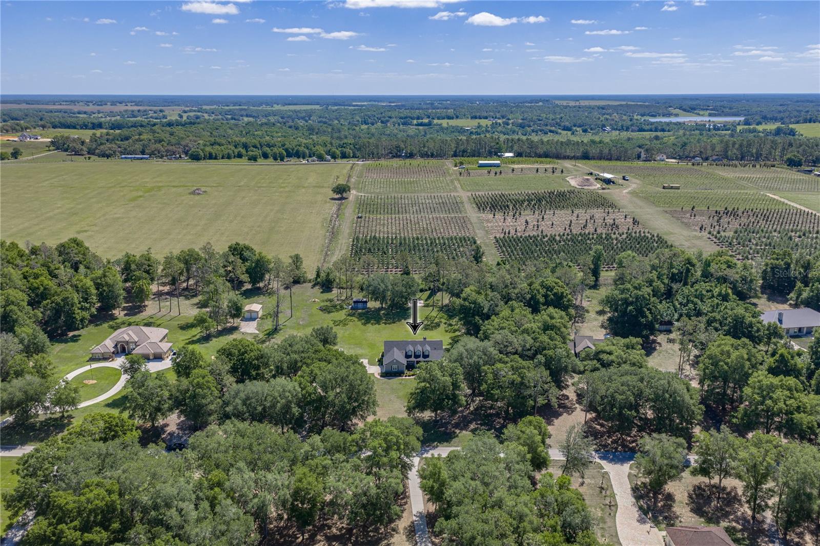 810 SAVANNAH OAKS DR, BROOKSVILLE, FL, 34602