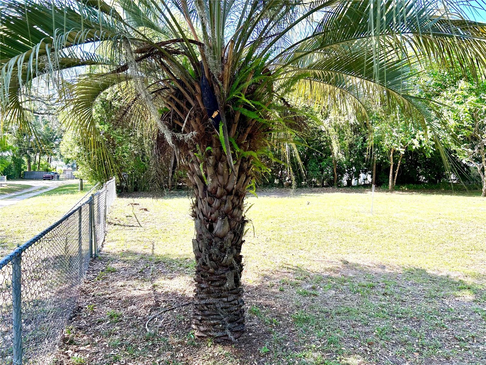 TBD SE 62ND AVE, BELLEVIEW, FL, 34420