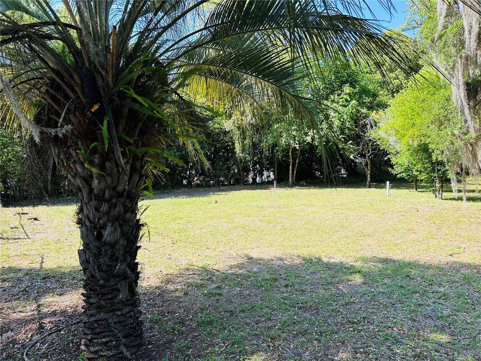 TBD SE 62ND AVE, BELLEVIEW, FL, 34420