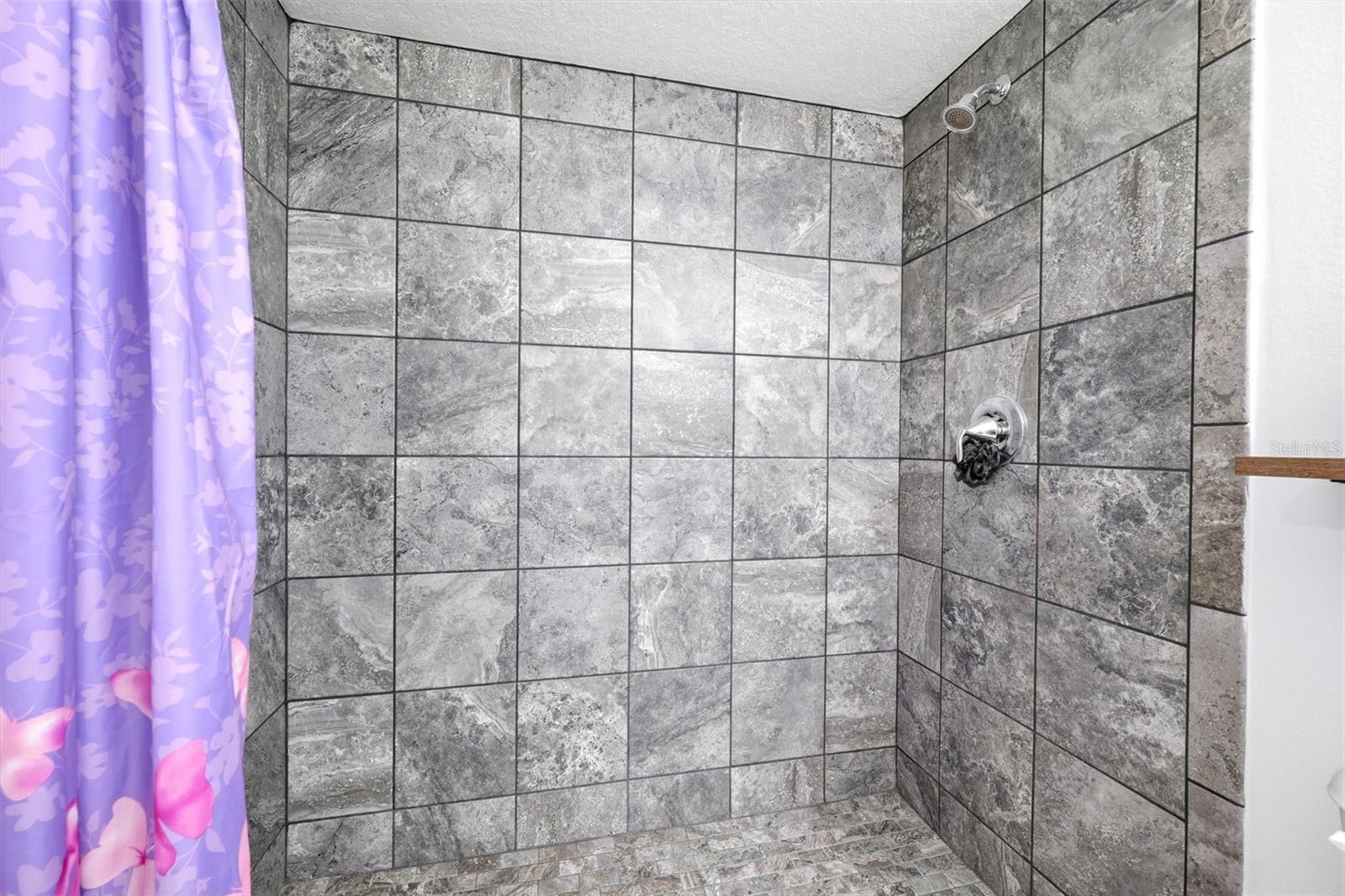 6152 NE 64TH ST, SILVER SPRINGS, FL, 34488