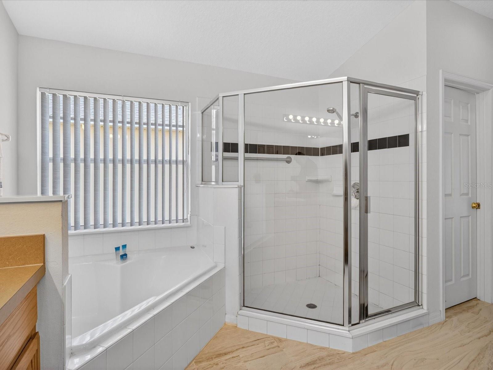 1007 BALMORAL DRIVE, DAVENPORT, FL, 33896