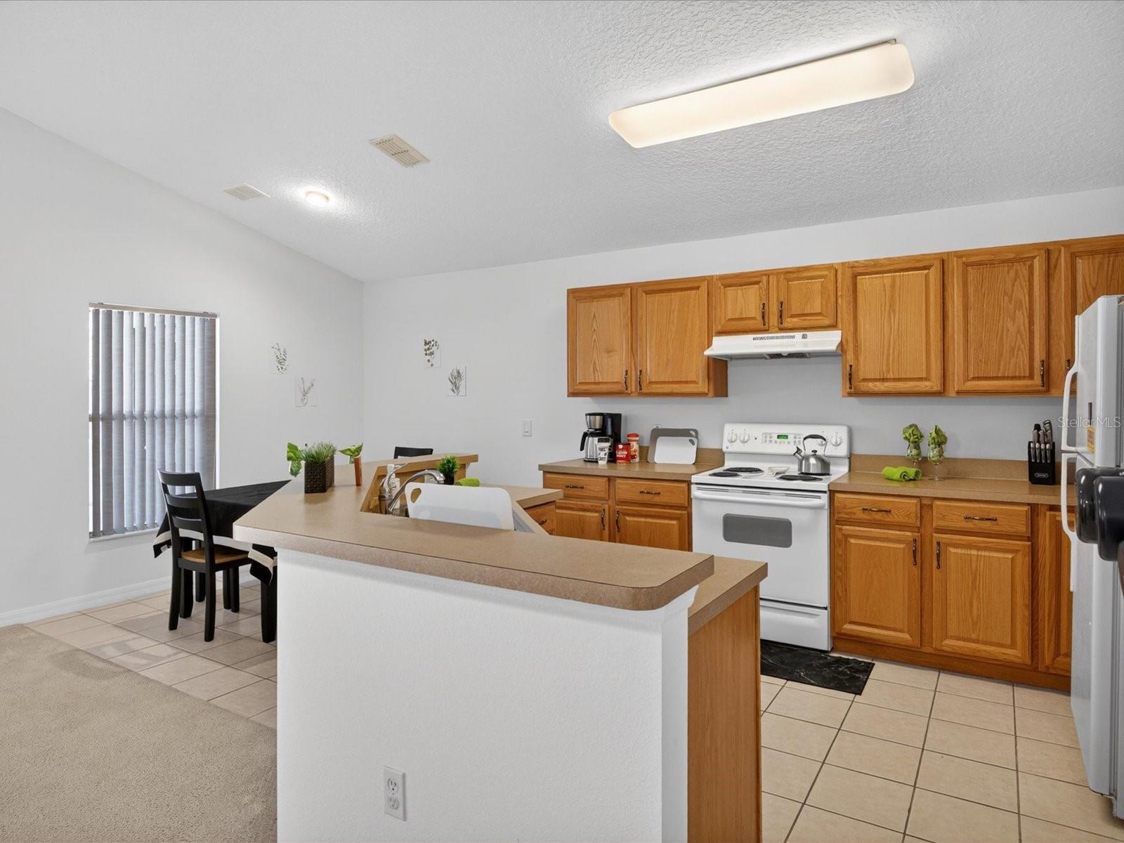 1007 BALMORAL DRIVE, DAVENPORT, FL, 33896