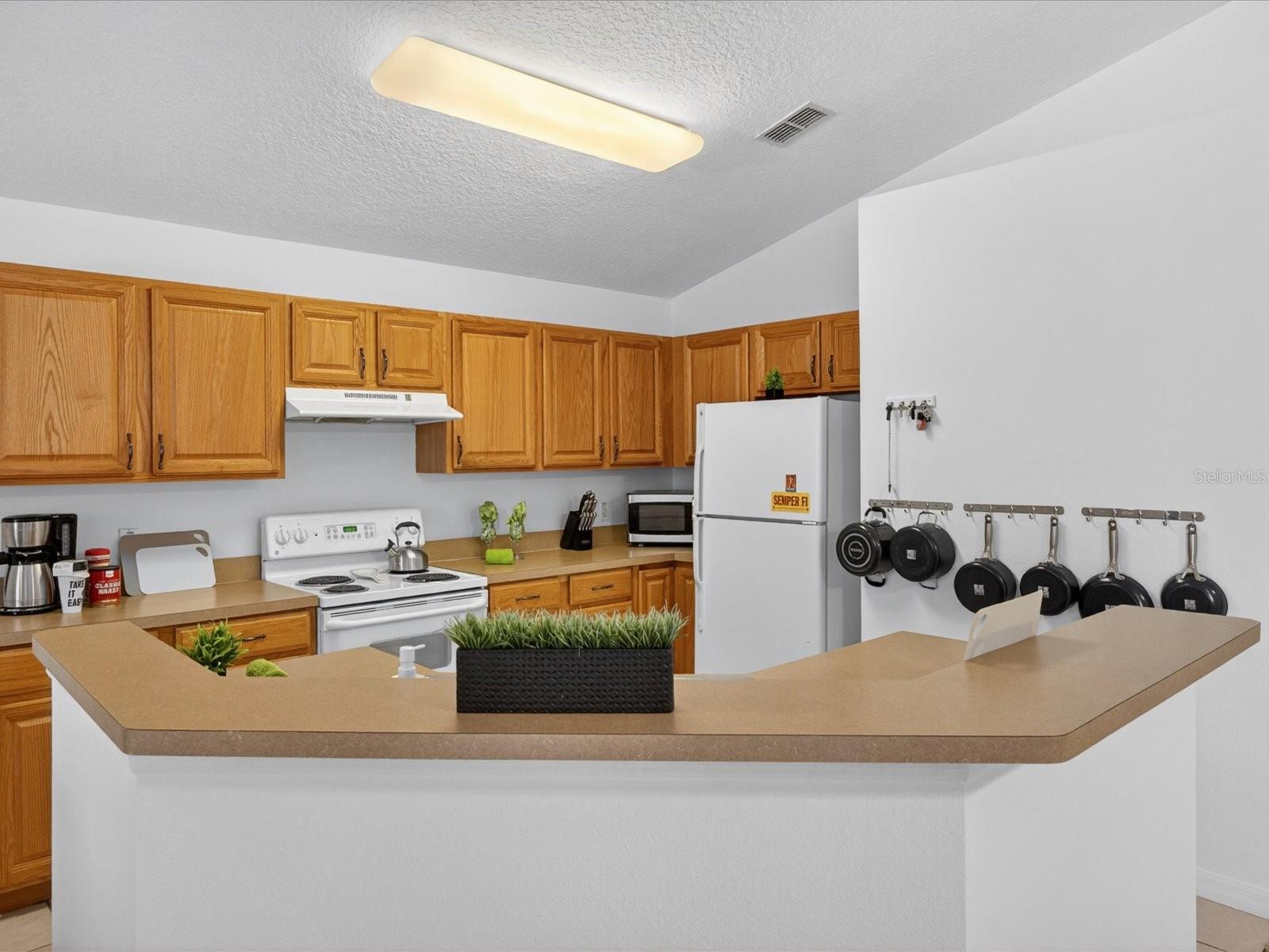 1007 BALMORAL DRIVE, DAVENPORT, FL, 33896