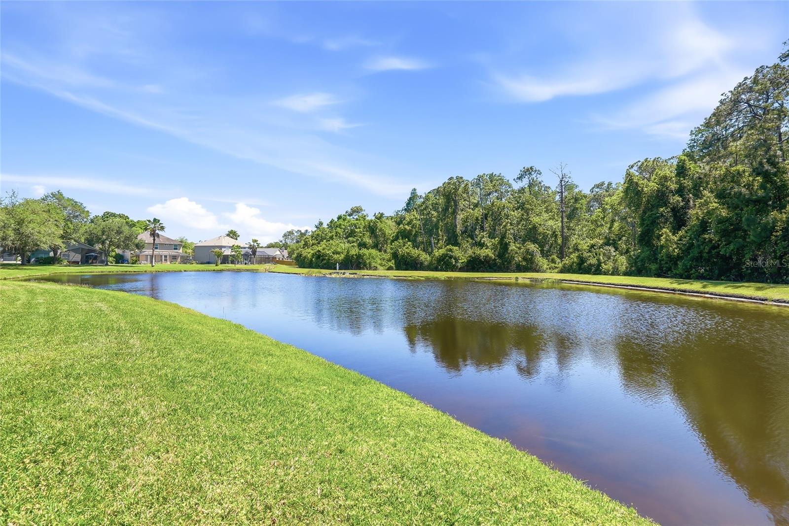 12514 LOQUAT WAY, TAMPA, FL, 33626