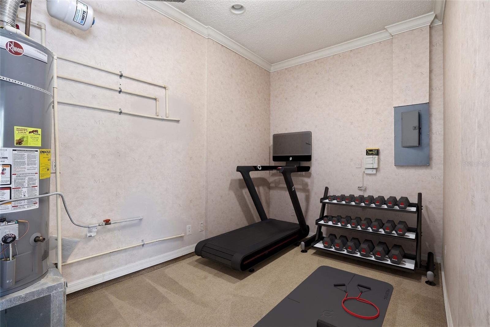 12514 LOQUAT WAY, TAMPA, FL, 33626