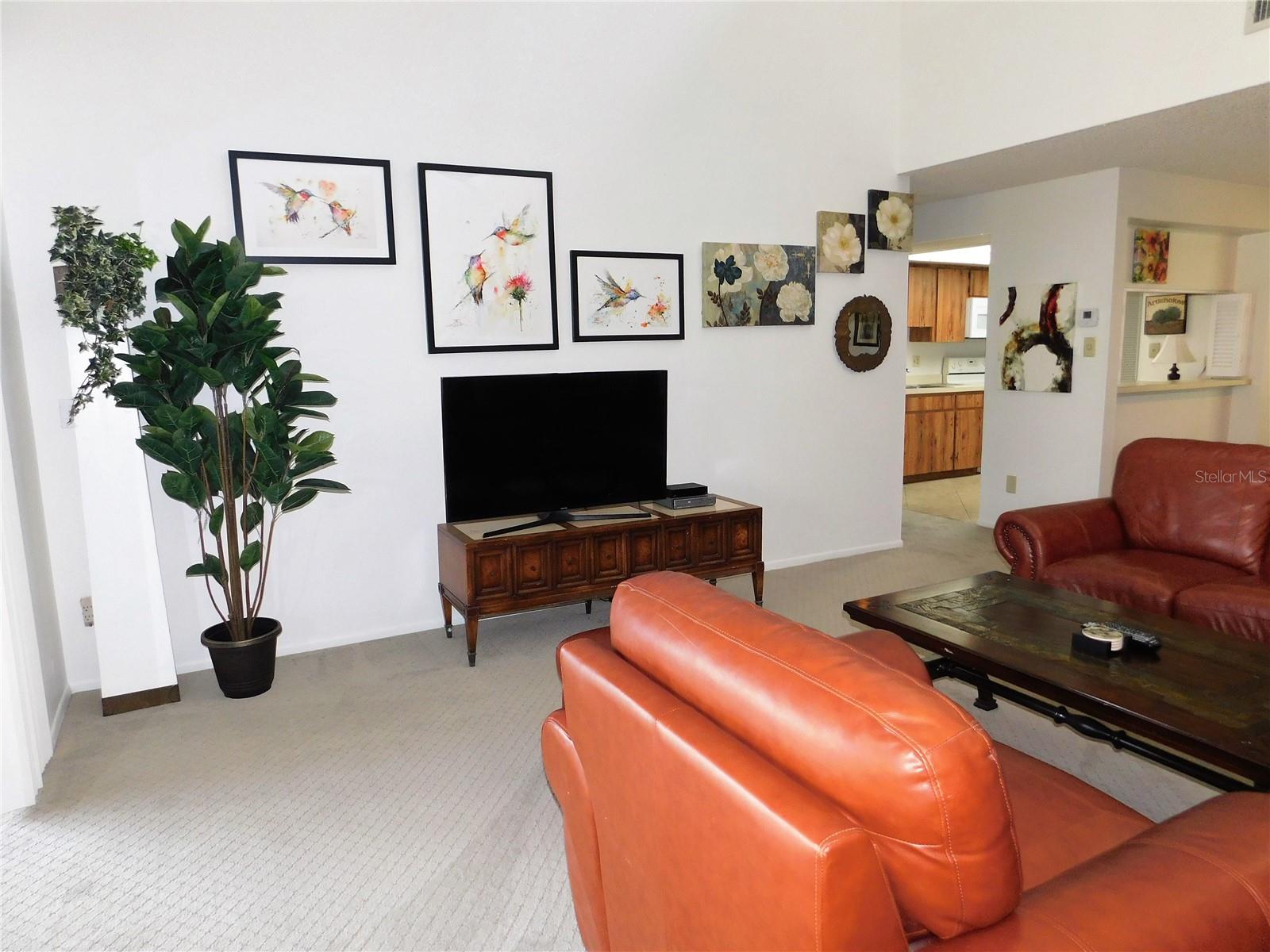 70 JOANNE PL #70, OLDSMAR, FL, 34677