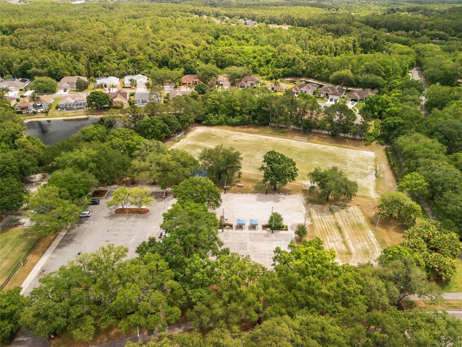 3749 PENDLEBURY DR, PALM HARBOR, FL, 34685