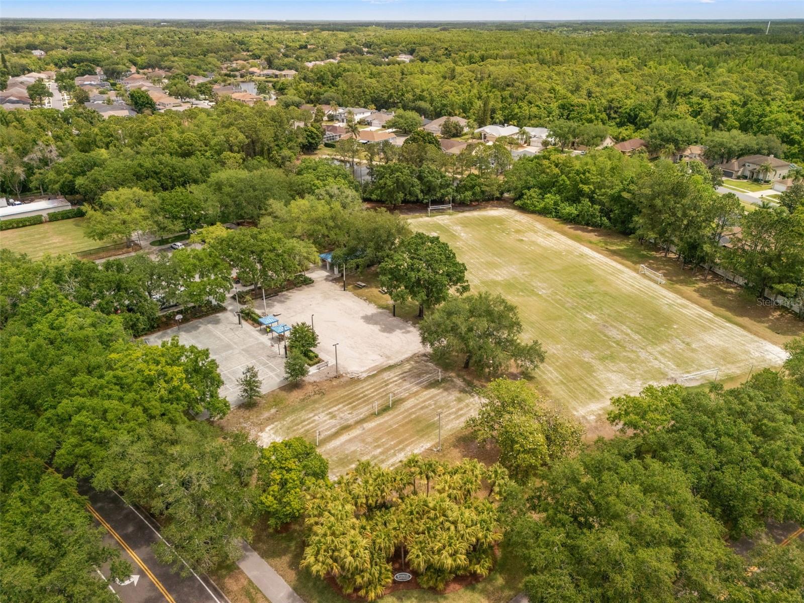 3749 PENDLEBURY DR, PALM HARBOR, FL, 34685