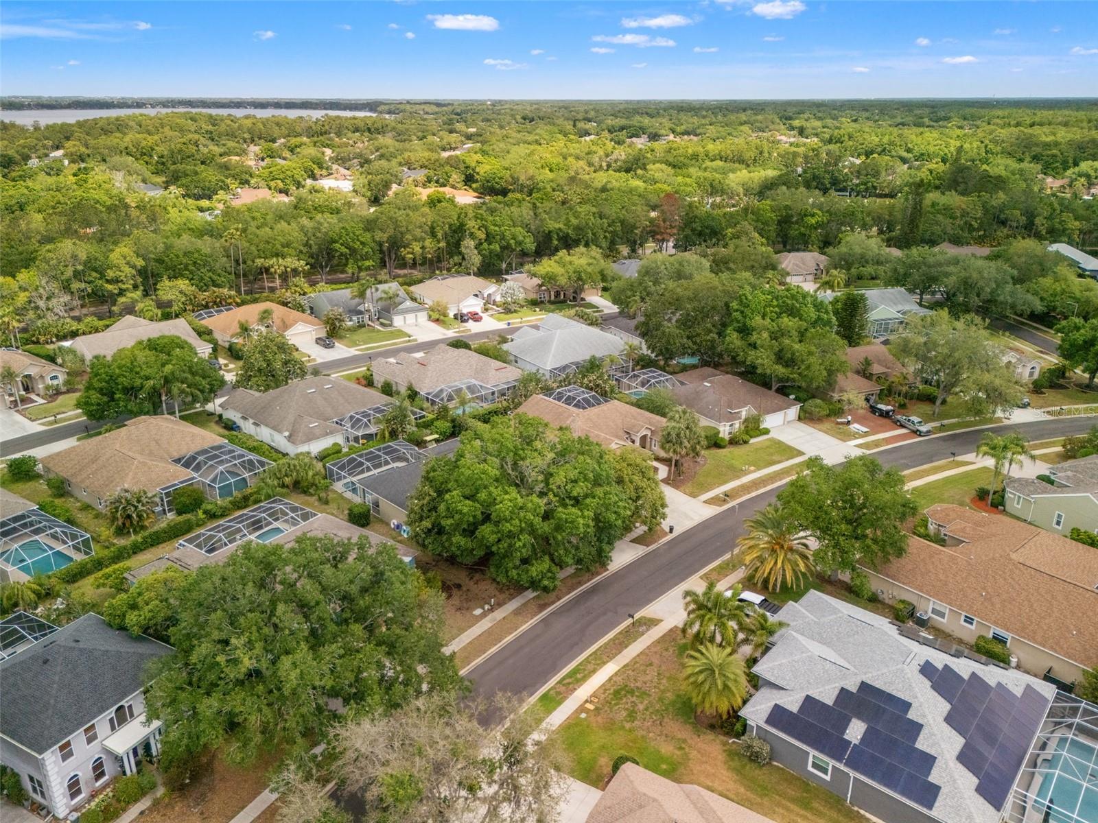 3749 PENDLEBURY DR, PALM HARBOR, FL, 34685