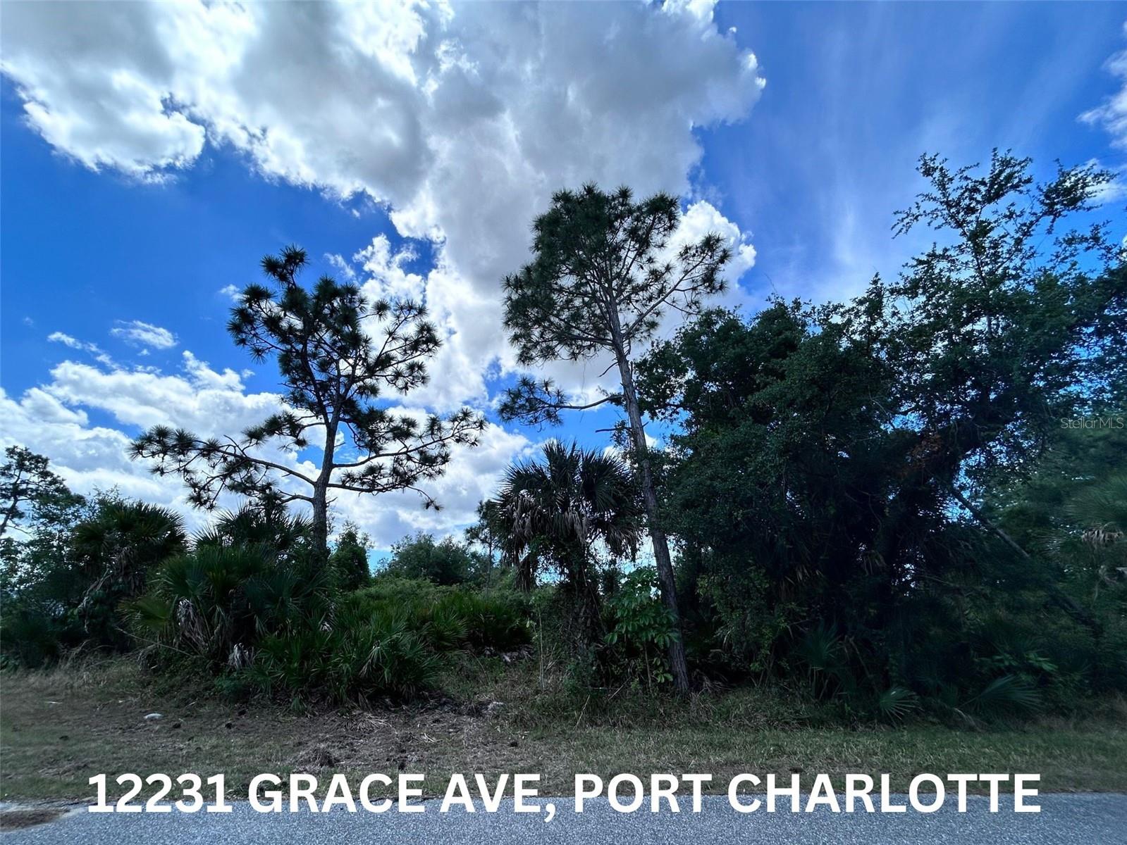 12231 GRACE AVE, PORT CHARLOTTE, FL, 33981
