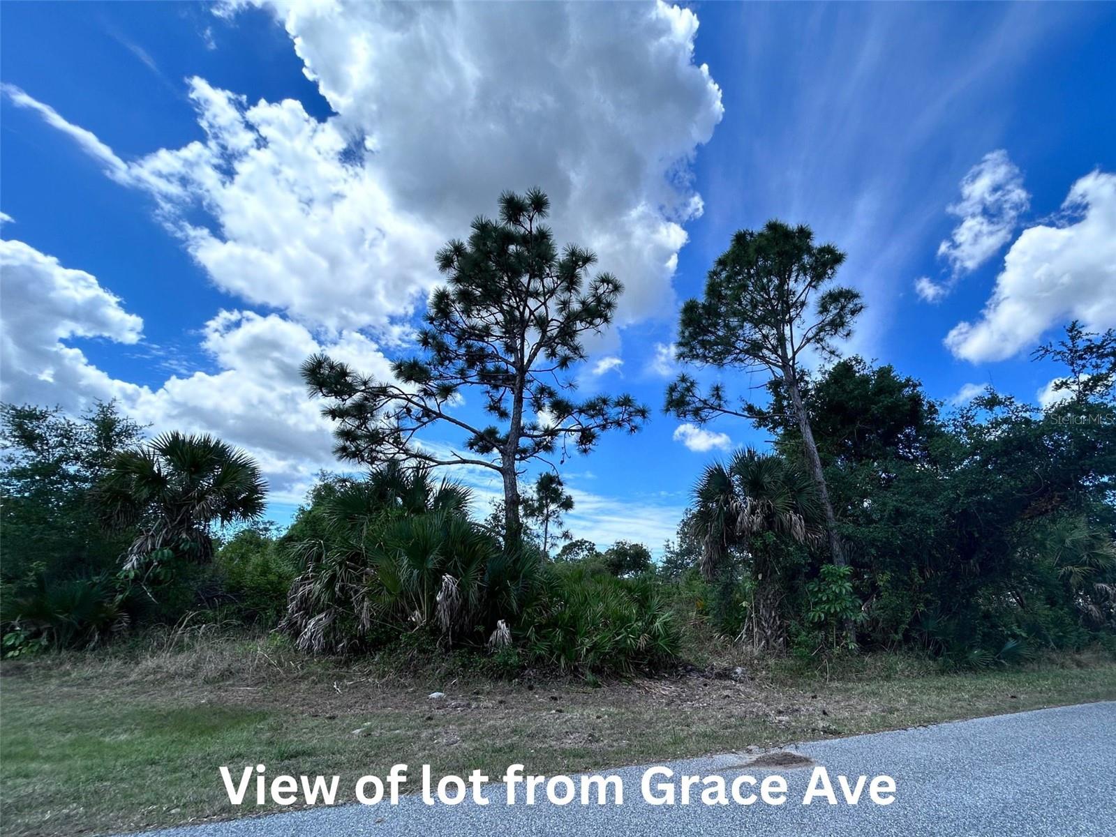 12231 GRACE AVE, PORT CHARLOTTE, FL, 33981