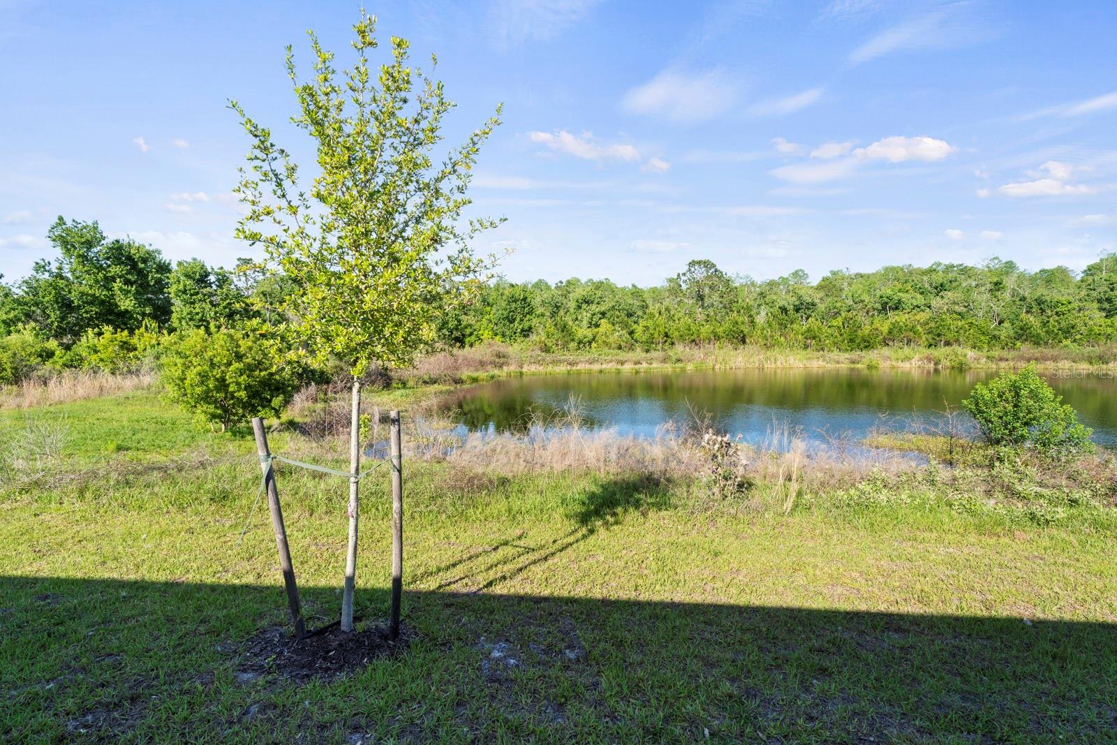 4224 SAGEFIELD DR, ST CLOUD, FL, 34773