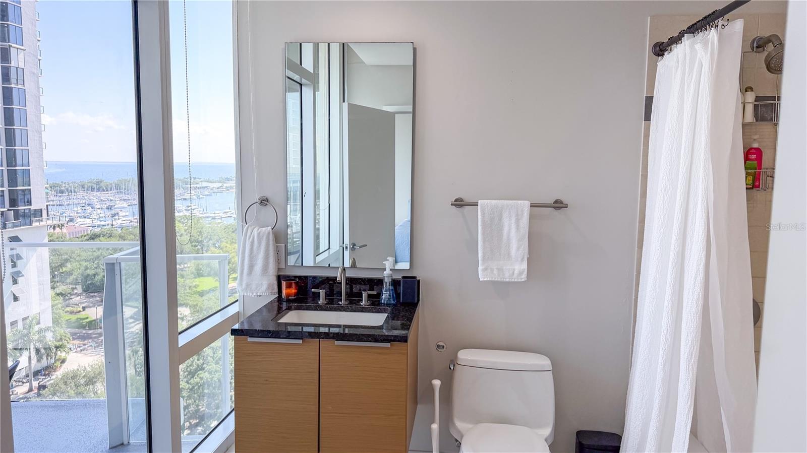 175 1ST ST S #1108, ST PETERSBURG, FL, 33701