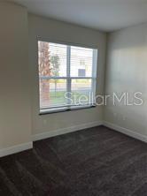 1396 PEACEFUL NATURE WAY #1396, CLERMONT, FL, 34714