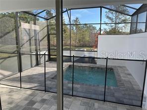 1396 PEACEFUL NATURE WAY #1396, CLERMONT, FL, 34714