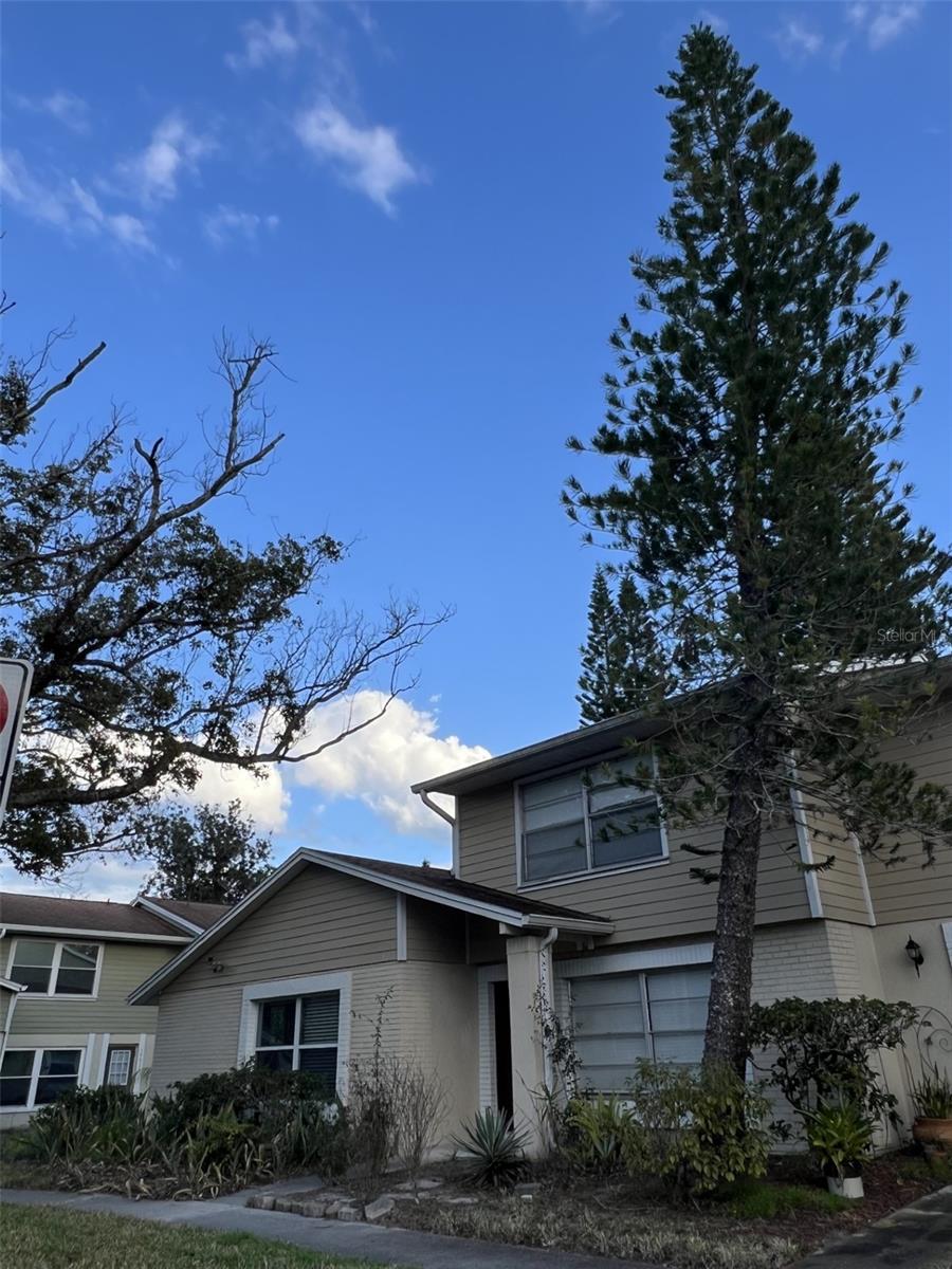 14627 PINE GLEN CIR, LUTZ, FL, 33559