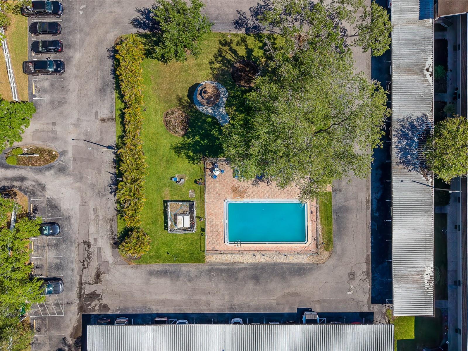 9881 113TH ST #215, SEMINOLE, FL, 33772