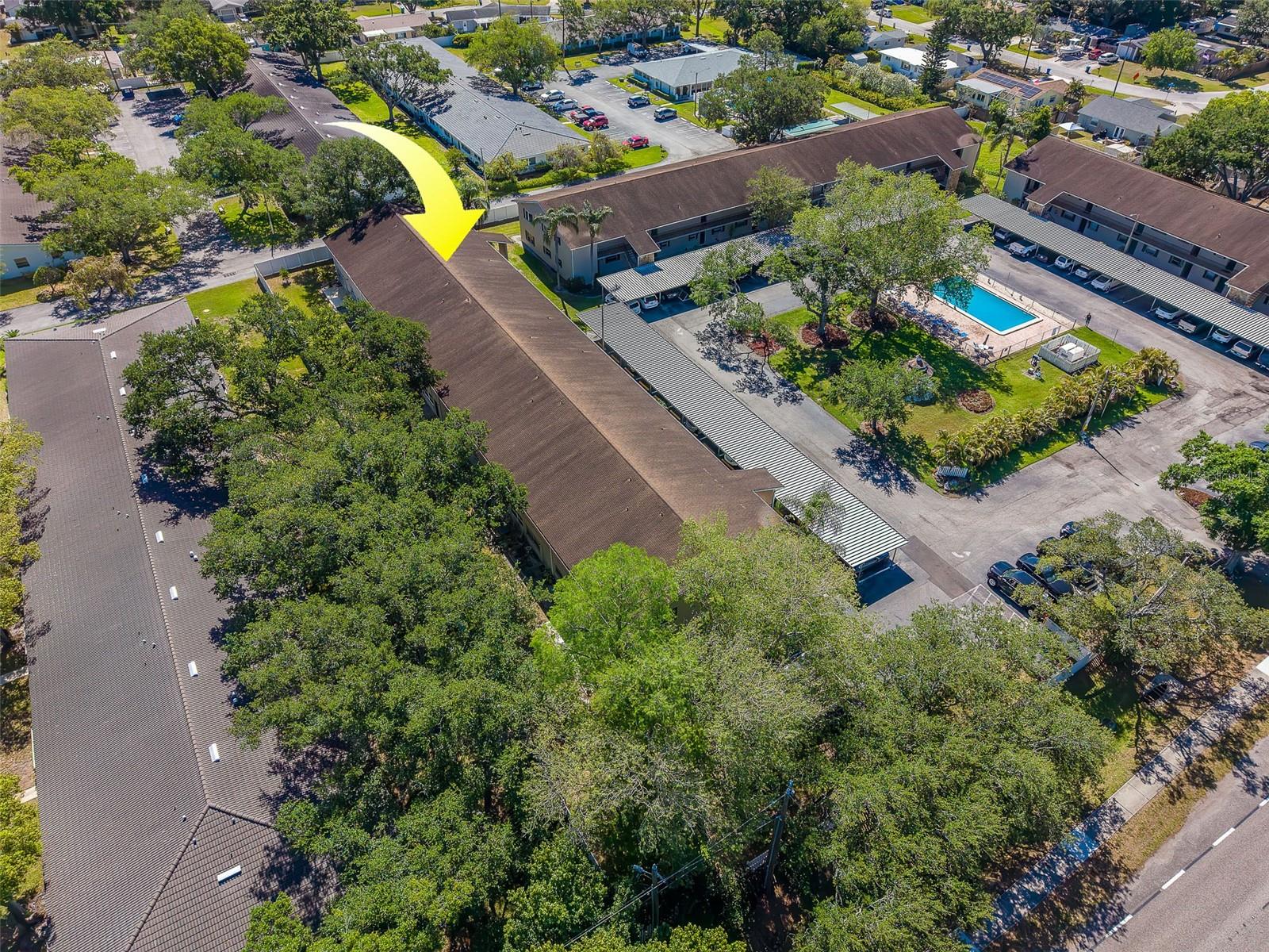 9881 113TH ST #215, SEMINOLE, FL, 33772