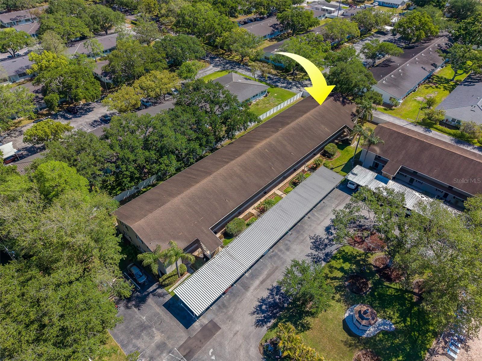 9881 113TH ST #215, SEMINOLE, FL, 33772