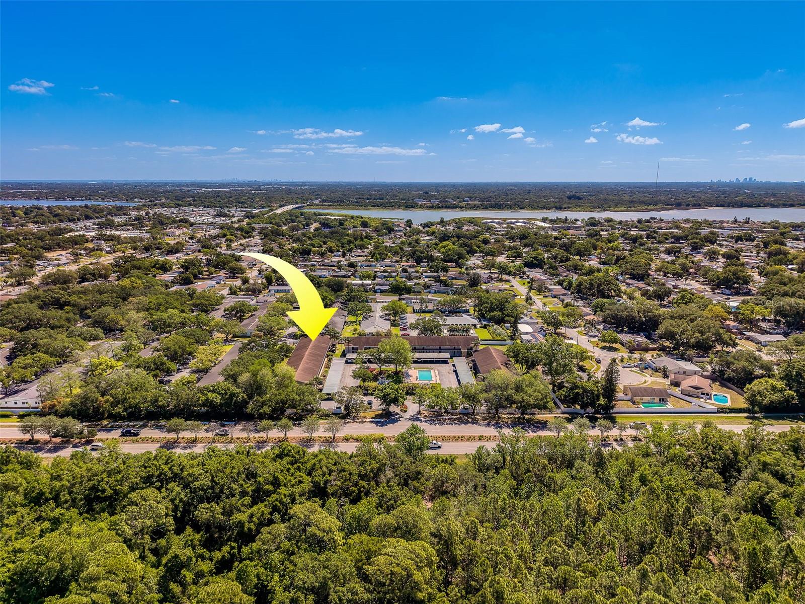 9881 113TH ST #215, SEMINOLE, FL, 33772