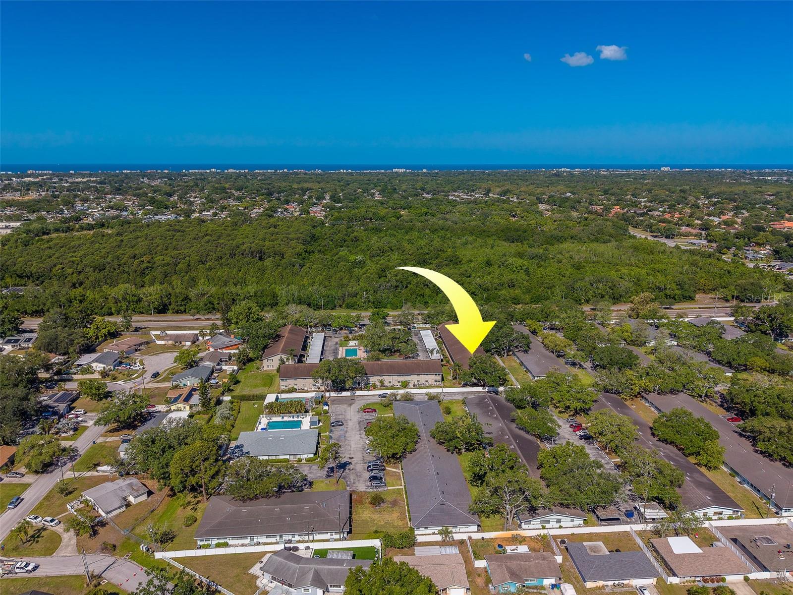 9881 113TH ST #215, SEMINOLE, FL, 33772