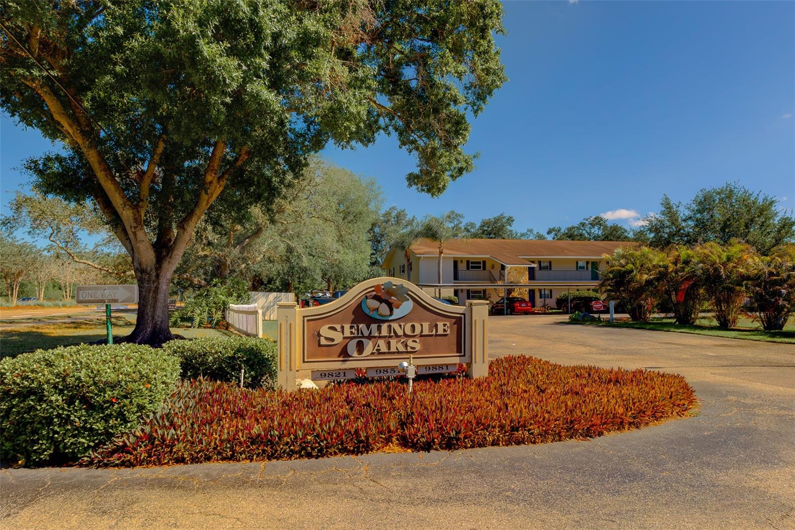 9881 113TH ST #215, SEMINOLE, FL, 33772