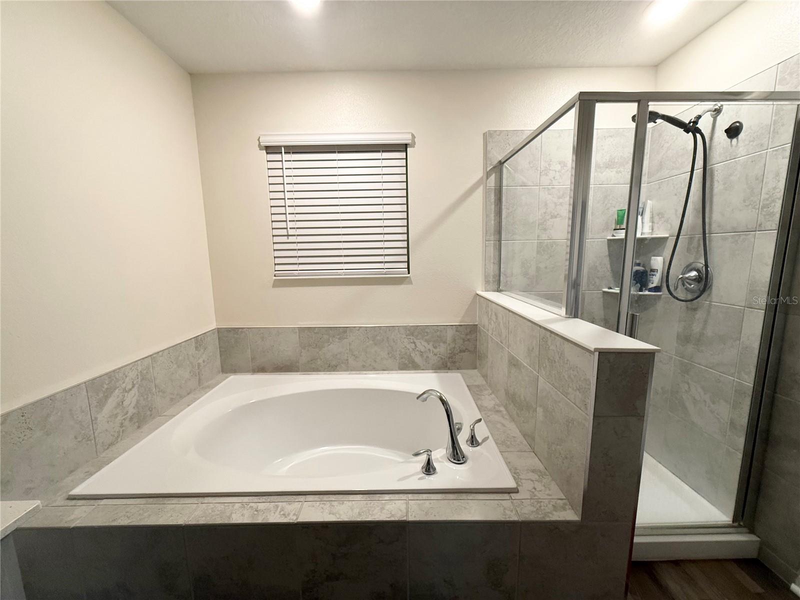 1048 DOWNSWING PL, CHAMPIONS GATE, FL, 33896