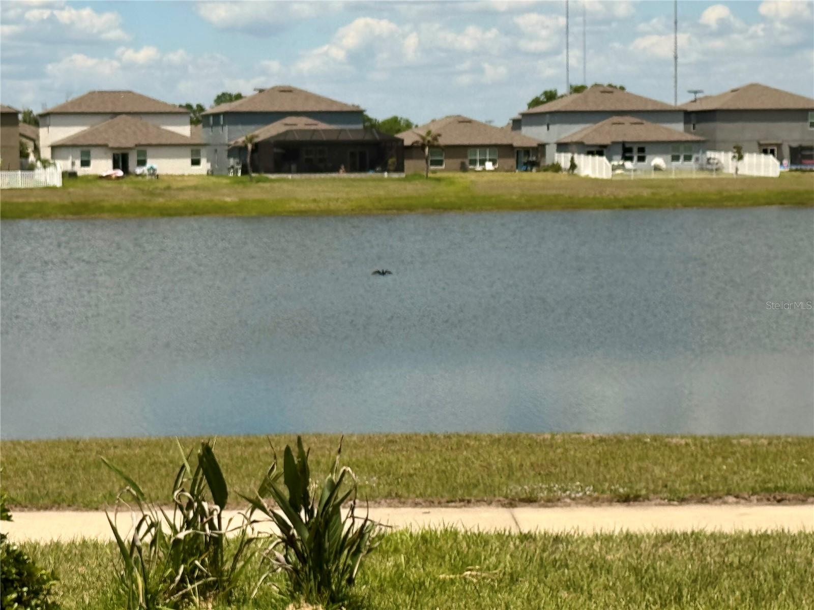 12870 TWIN BRIDGES DR, RIVERVIEW, FL, 33579