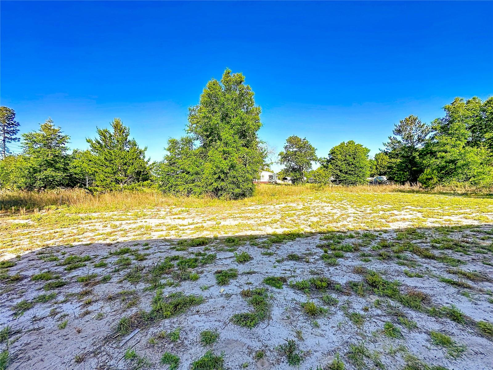 101 ORANGE TREE ST, POMONA PARK, FL, 32181