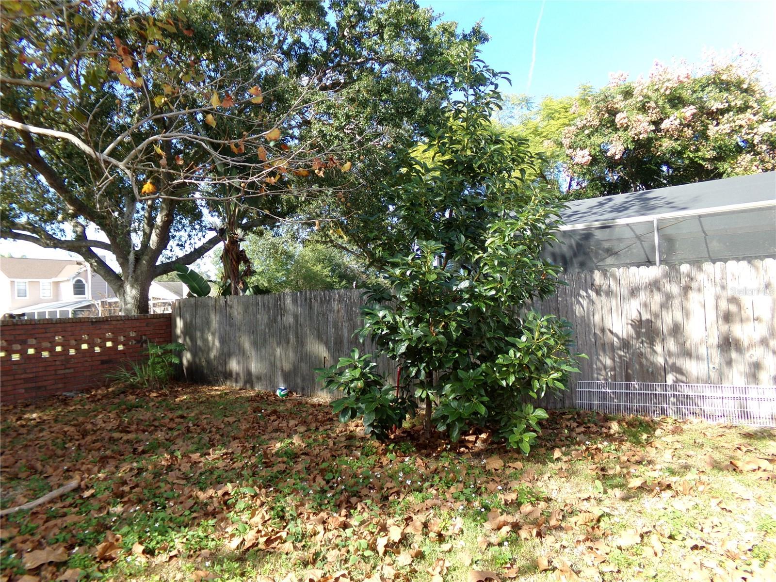 1041 KELSEY AVE, OVIEDO, FL, 32765