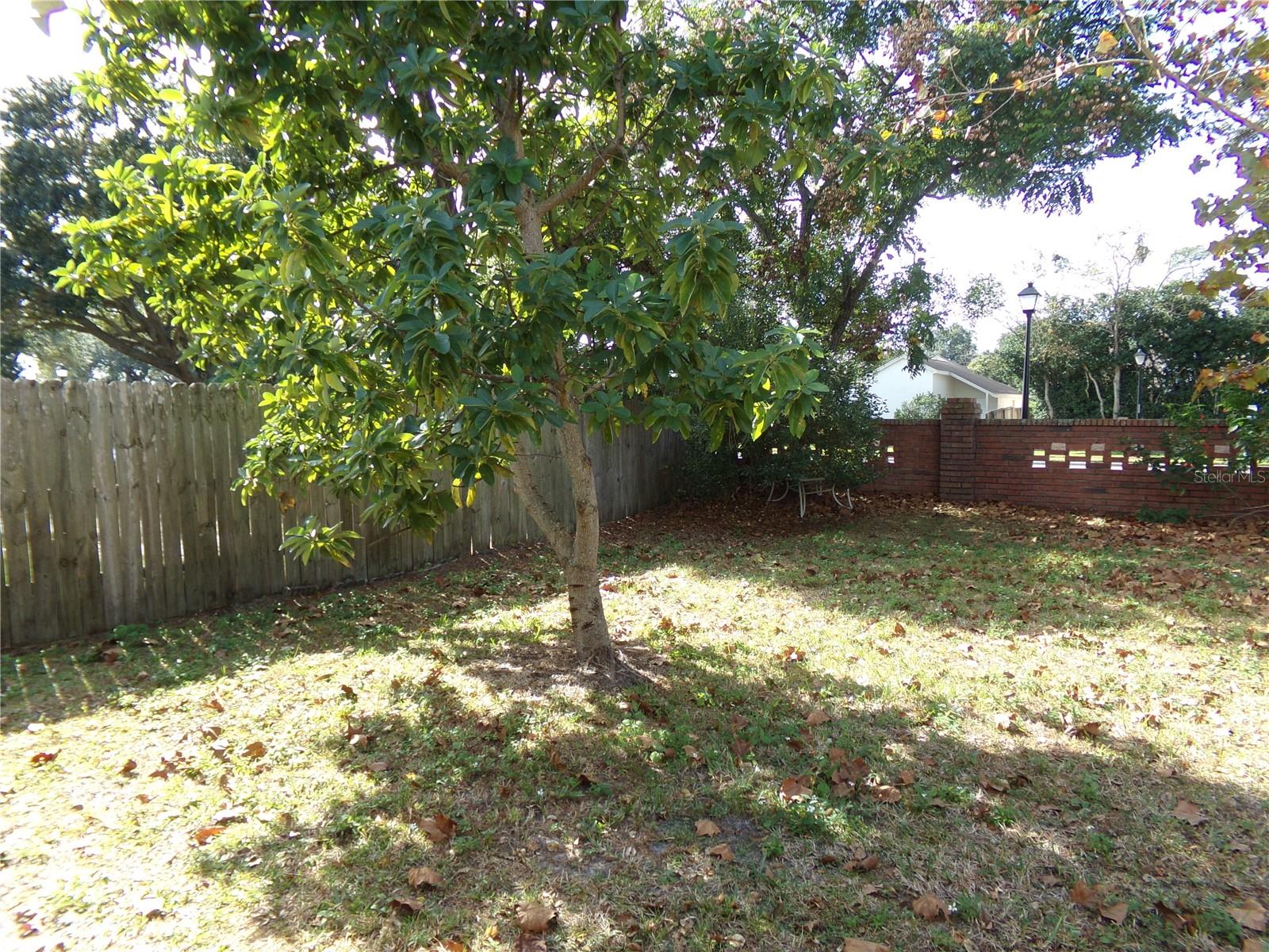 1041 KELSEY AVE, OVIEDO, FL, 32765