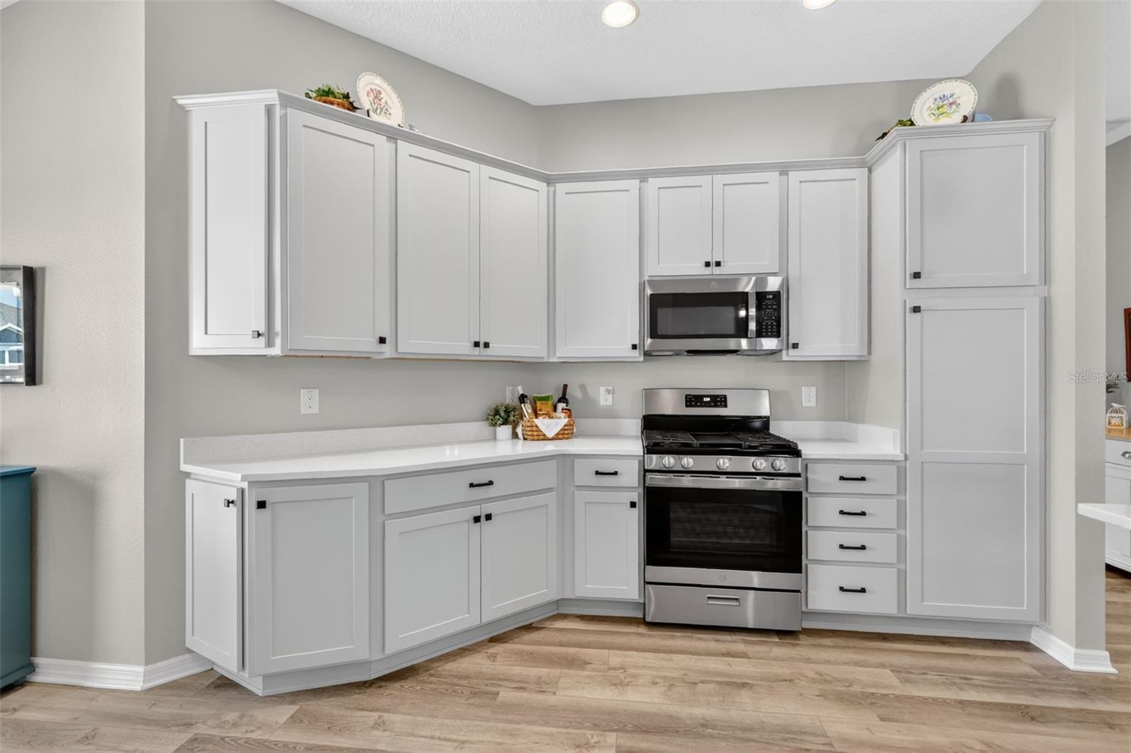 1713 ROBBINS RD, THE VILLAGES, FL, 34762