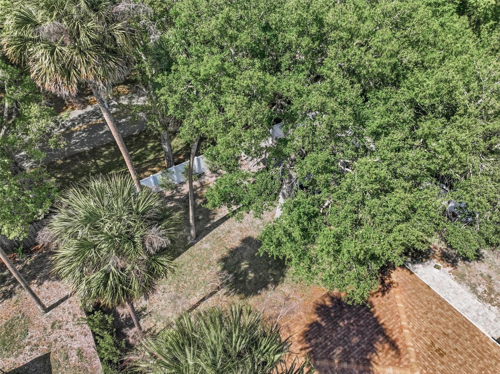 40 BAY SPRING PL, PALM COAST, FL, 32137