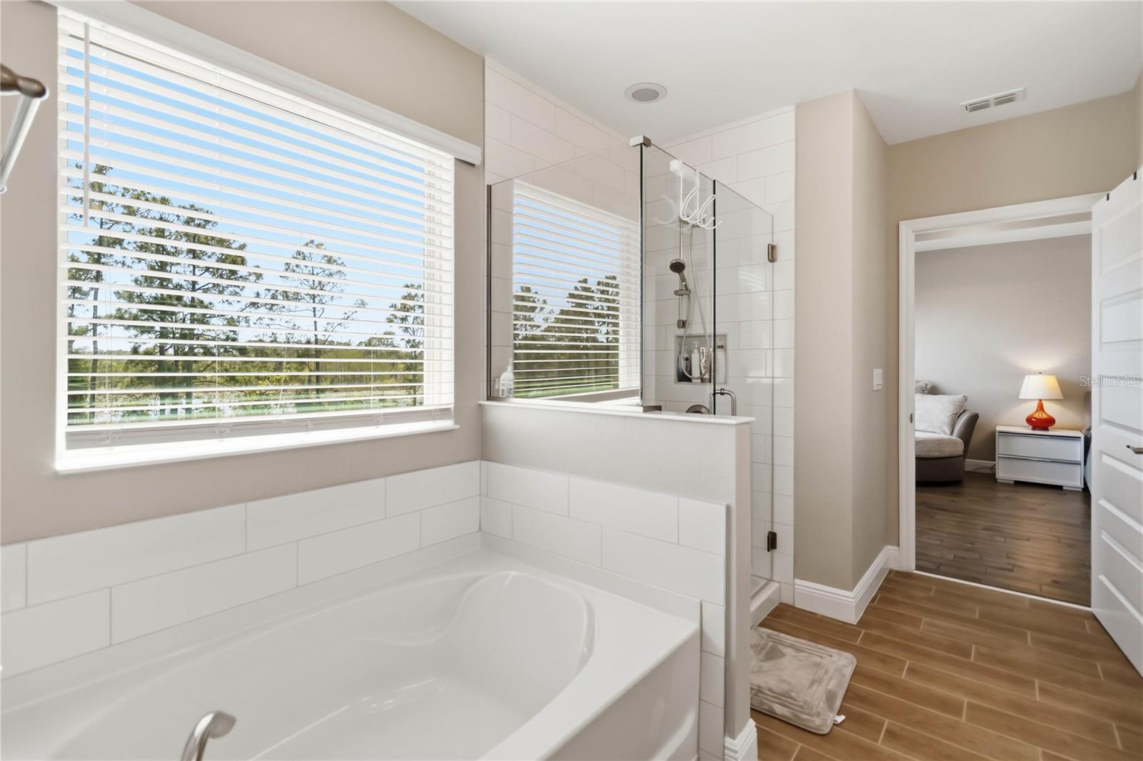 17876 ADRIFT RD, WINTER GARDEN, FL, 34787