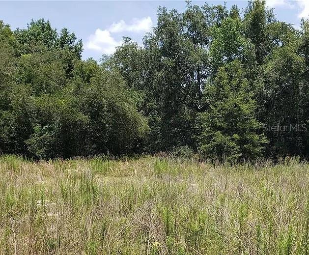 2412 VAN BUREN ST, INVERNESS, FL, 34453