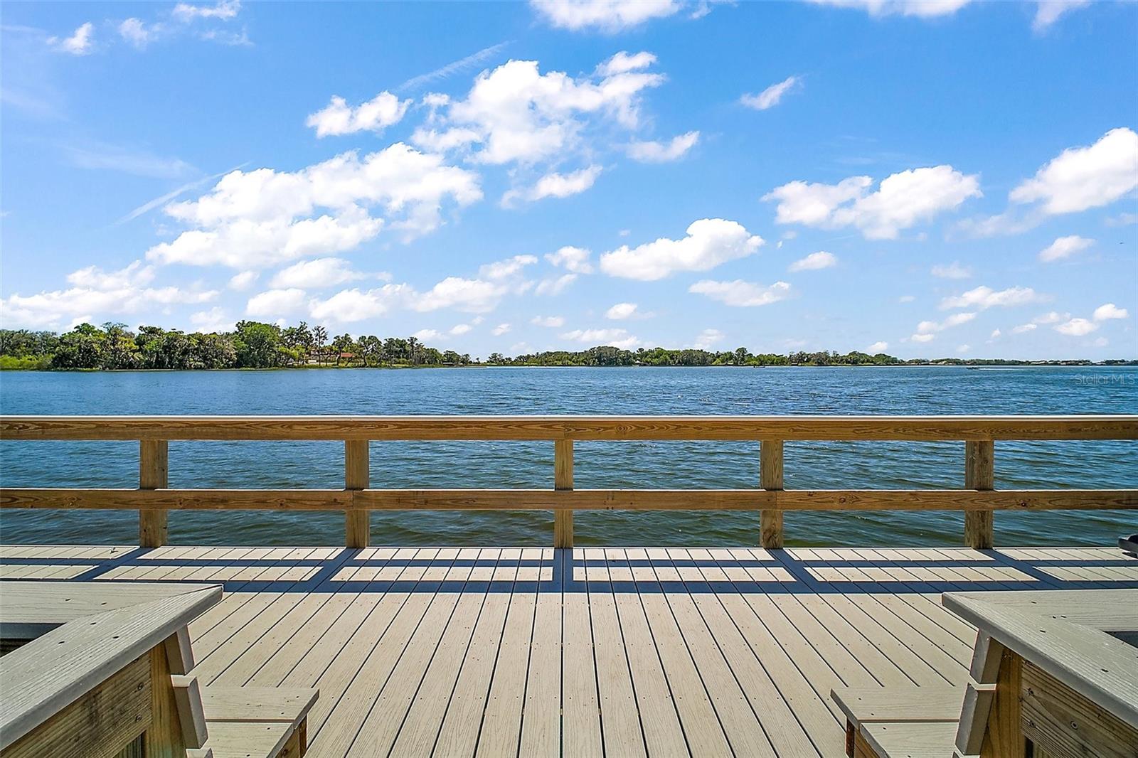 605 SANDLAKE CT, MOUNT DORA, FL, 32757