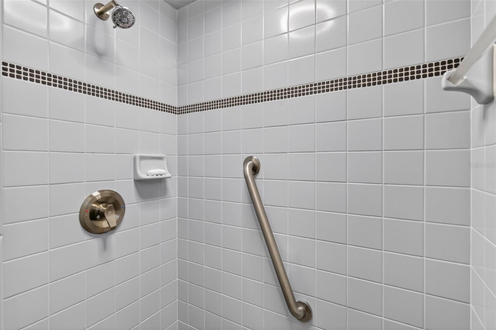 605 SANDLAKE CT, MOUNT DORA, FL, 32757