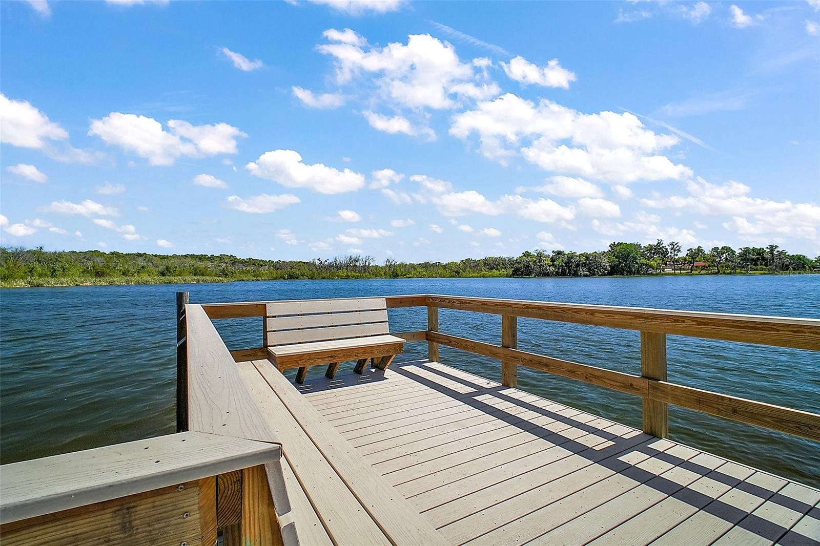 605 SANDLAKE CT, MOUNT DORA, FL, 32757