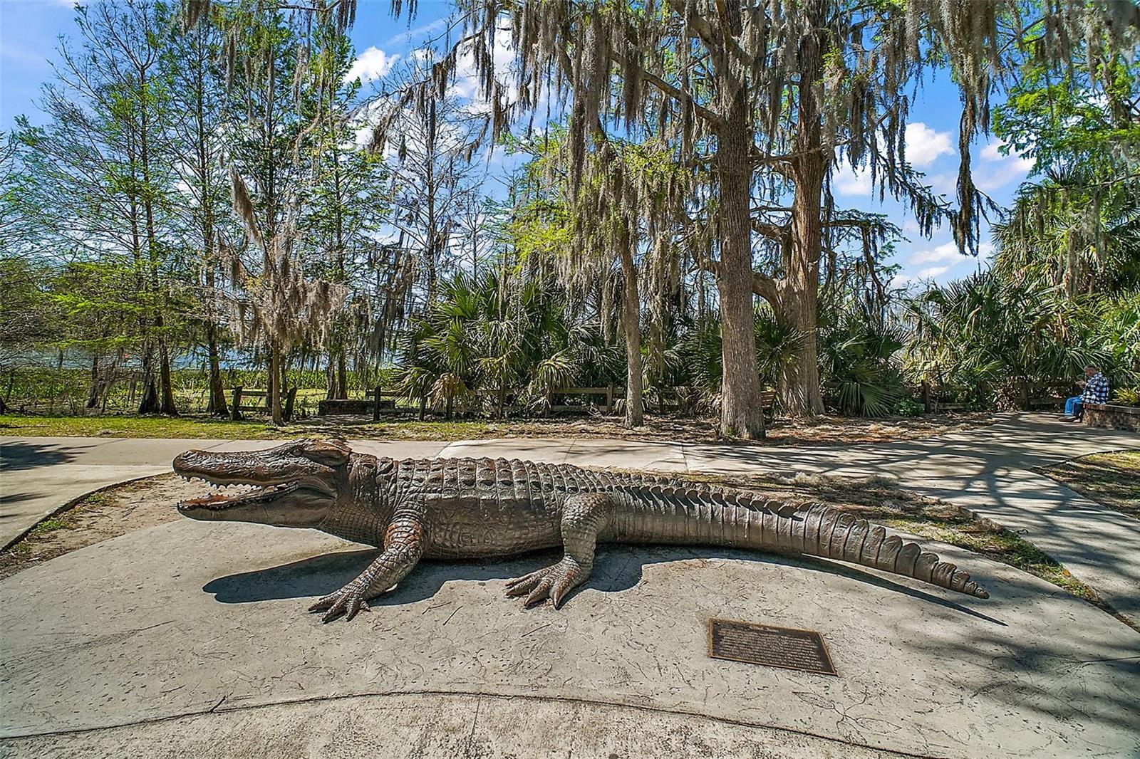 605 SANDLAKE CT, MOUNT DORA, FL, 32757