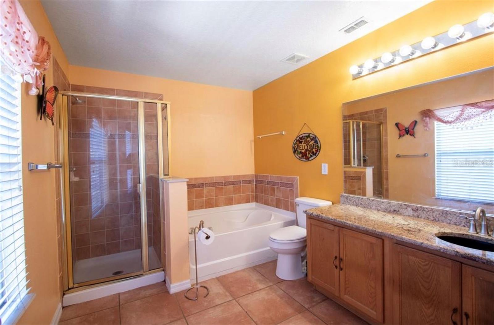 1412 BLACKWATER POND DR, ORLANDO, FL, 32828