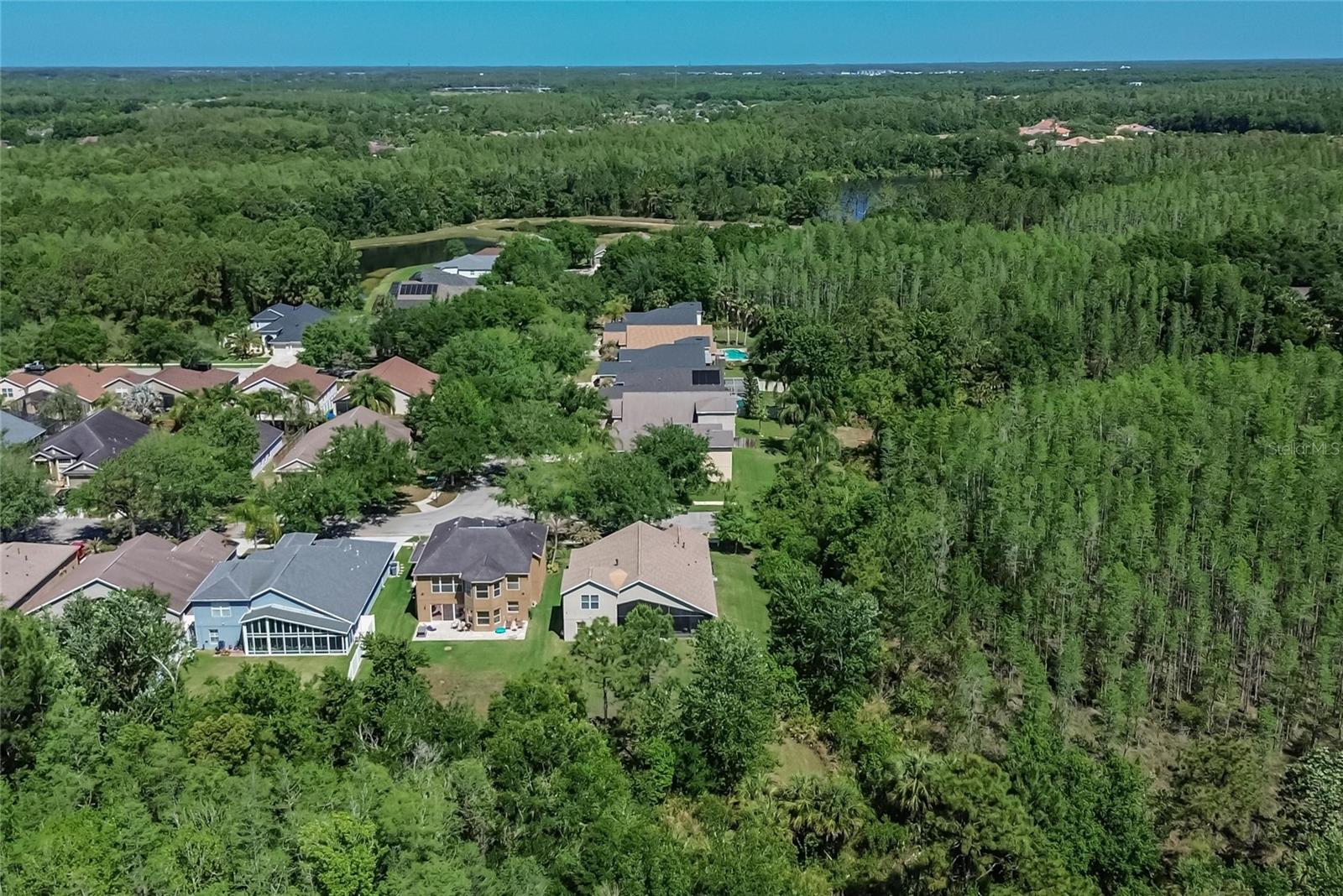 8215 MYRTLE POINT WAY, TAMPA, FL, 33647