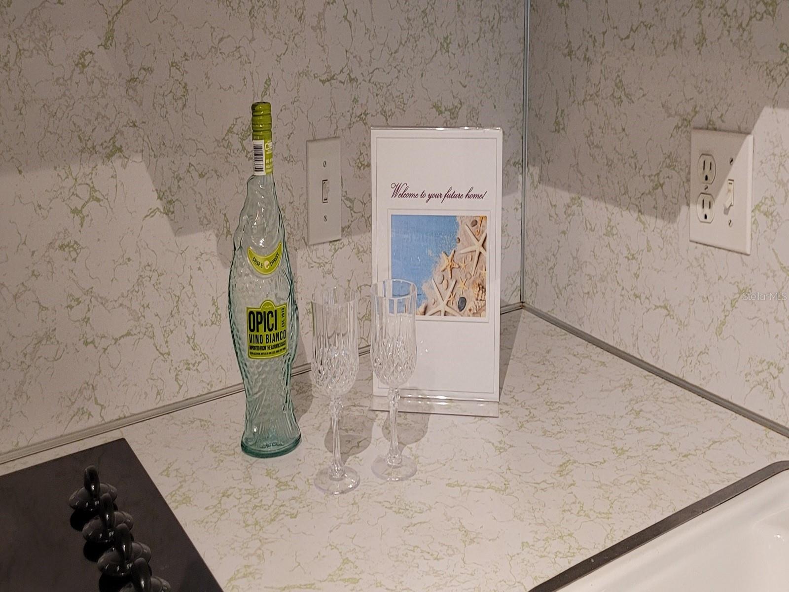 2298 NETHERLANDS DR #32, CLEARWATER, FL, 33763