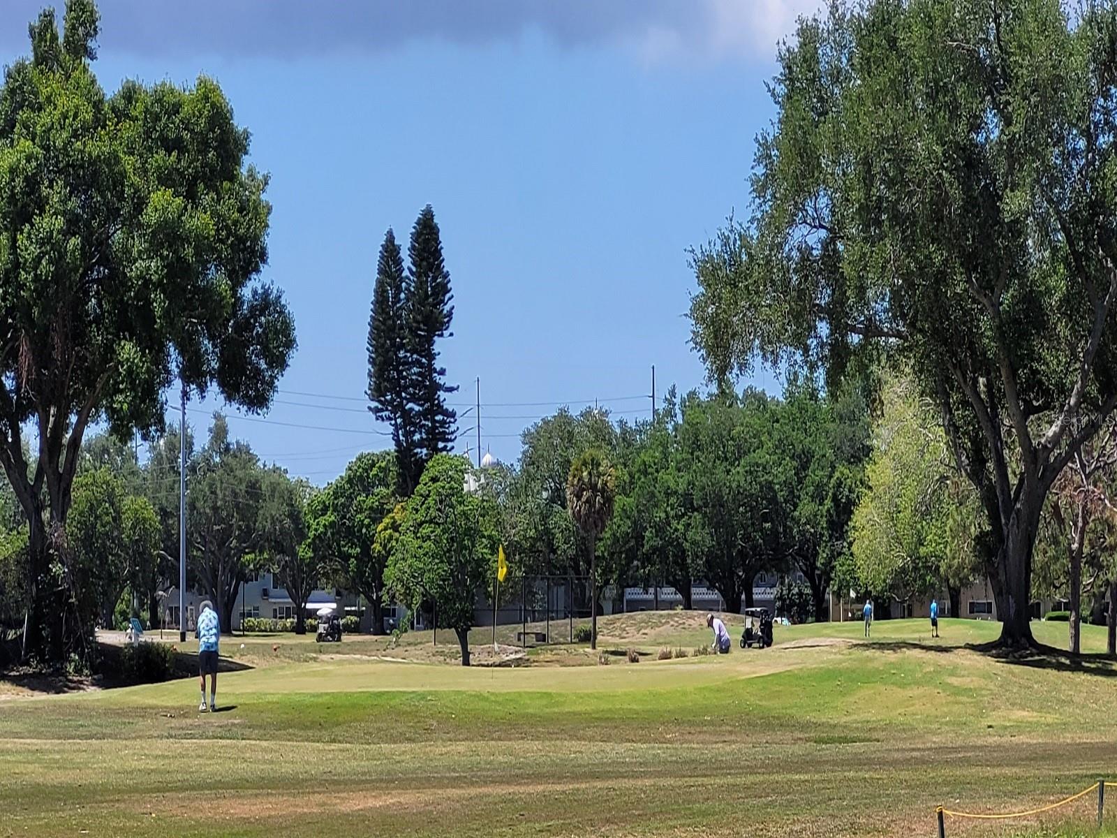 2298 NETHERLANDS DR #32, CLEARWATER, FL, 33763